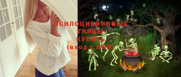 эйфоретик Арсеньев