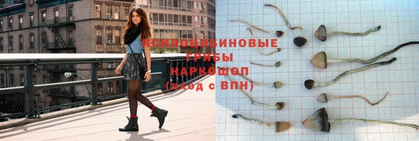 таблы Аркадак