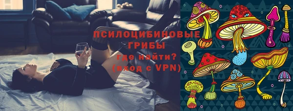 эйфоретик Арсеньев